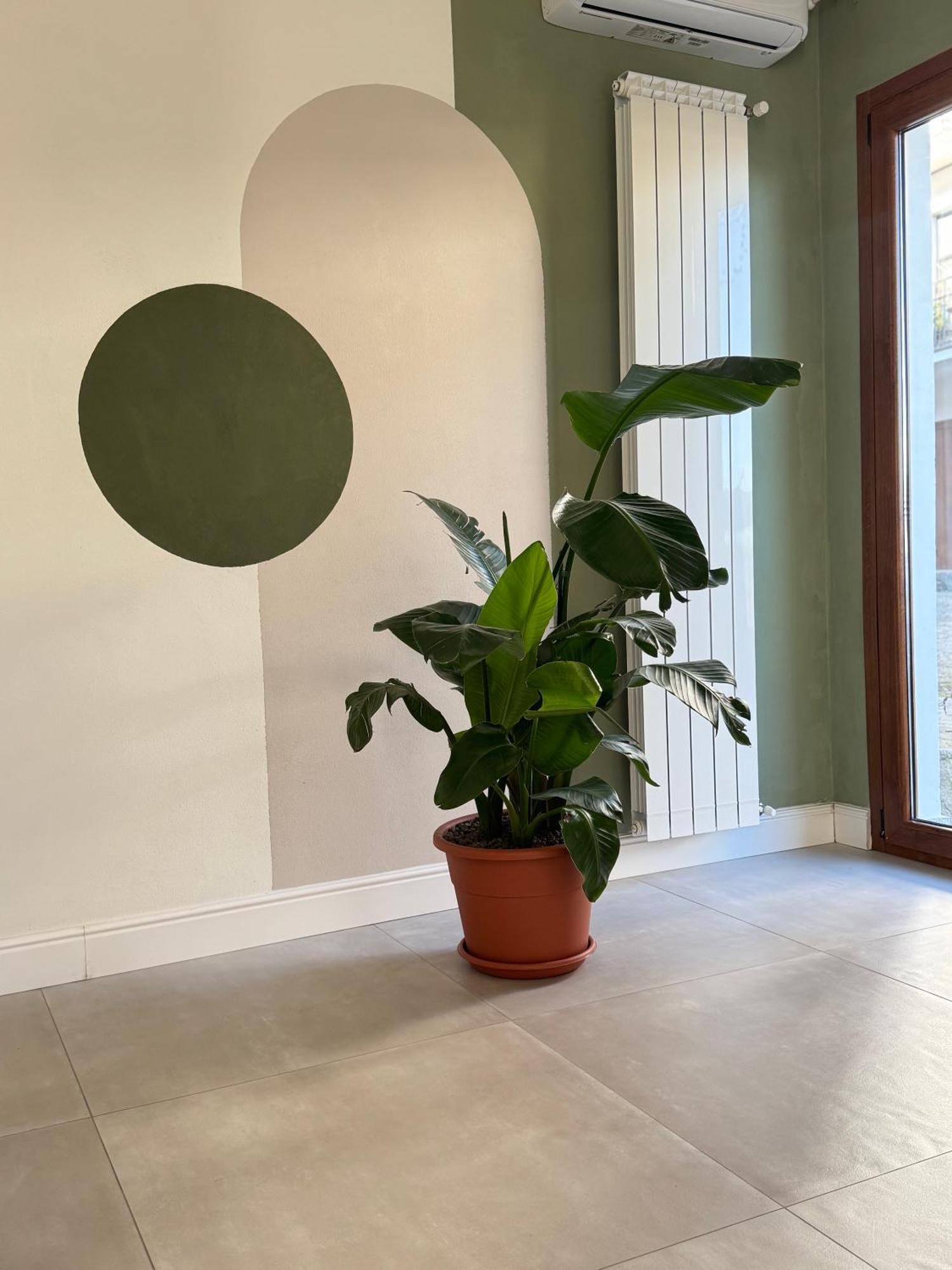 Il Cortile Del Borgo Villa Borgo Ticino Ngoại thất bức ảnh